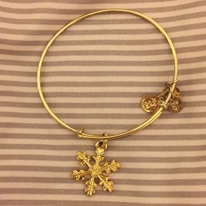 Snowflake Alex and ani